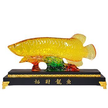 上百萬的金龍魚是什么牌子的：上百萬的金龍魚是什么牌子的金龍魚是什么牌子的