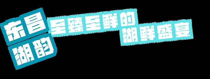 聊城龍魚市場在哪里啊