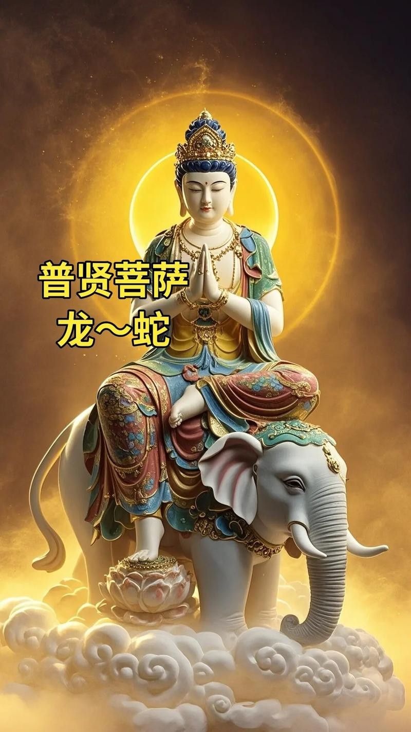 哪里可以找到更多生肖壁紙？