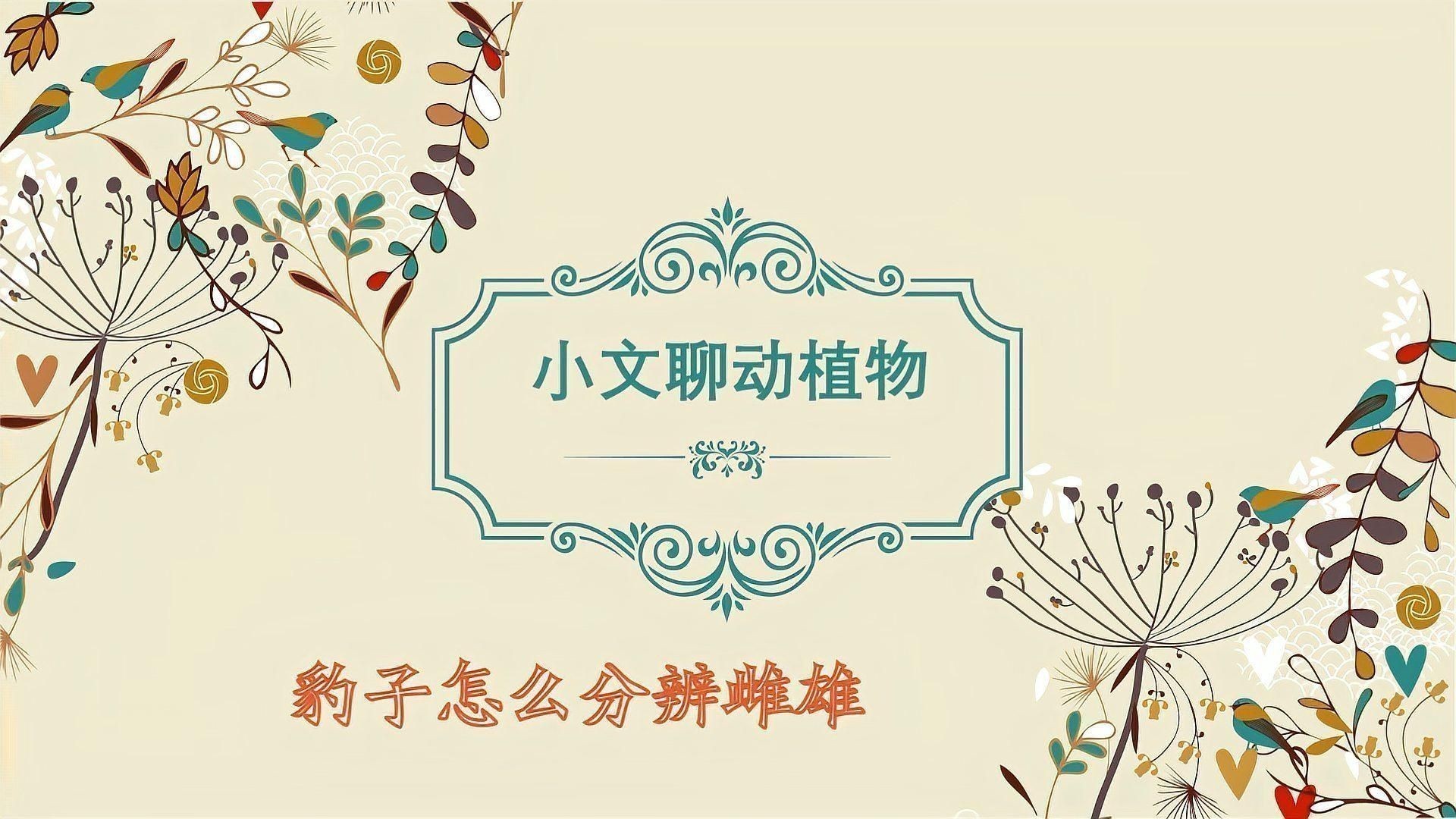 綠皮皇冠豹分公母