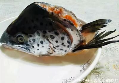 龍魚腮發黃（龍魚腮發黃可能由多種因素引起，）