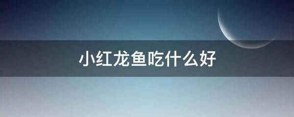 紅龍魚小魚如何挑選（如何挑選小紅龍魚）