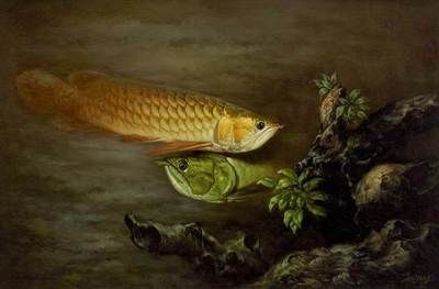 龍魚為什么叫龍魚呢？（龍魚為什么被稱為“龍魚”？）