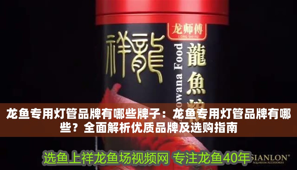 龍魚專用燈管品牌有哪些牌子：龍魚專用燈管品牌有哪些？全面解析優(yōu)質(zhì)品牌及選購指南