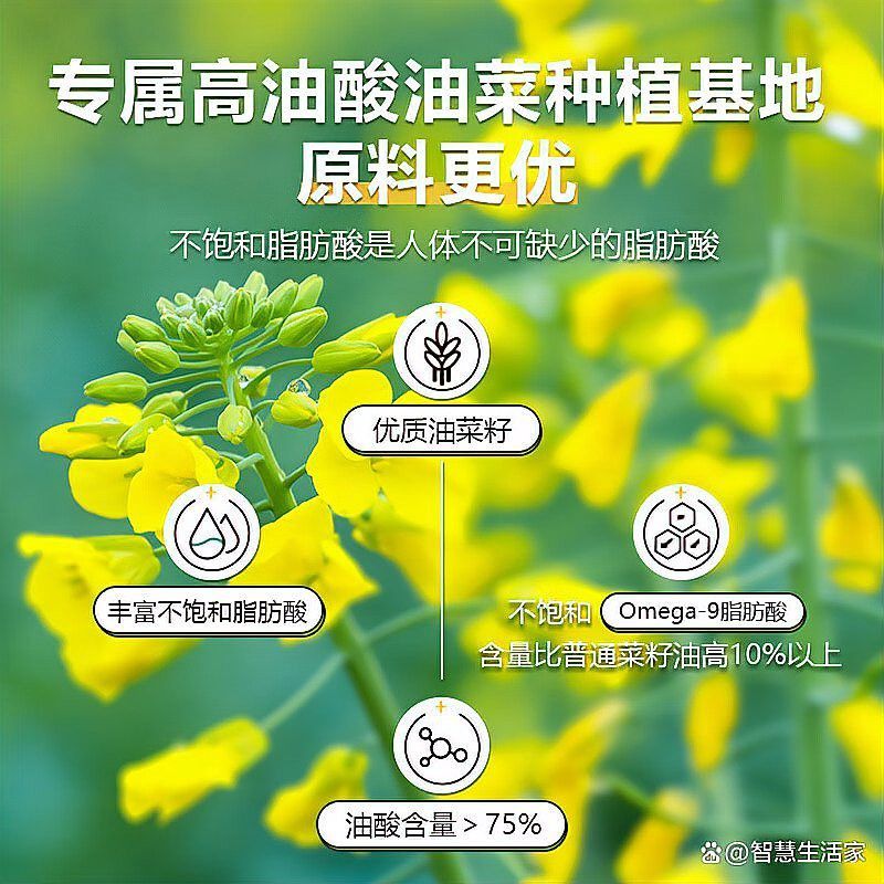 道道全和金龍魚哪個更適合涼拌？