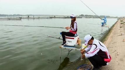 濡沫江湖金龍魚在哪里釣幾率最高（《濡沫江湖》中釣金龍魚的最佳地點(diǎn)是成都郊外的池塘）