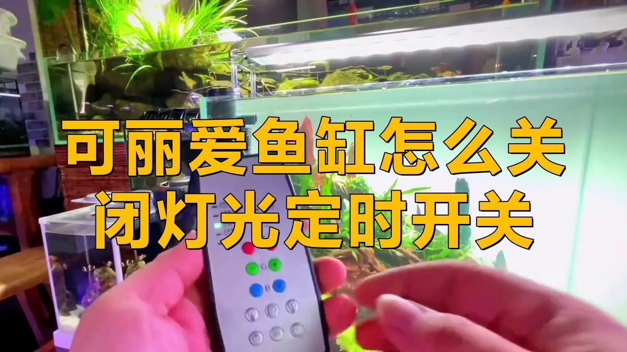 可麗愛(ài)魚(yú)缸使用說(shuō)明