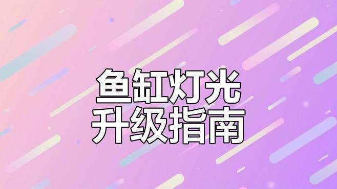 藍底過背金龍的光照系統如何設置