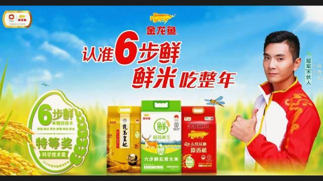 金龍魚稻花香有幾種規格？