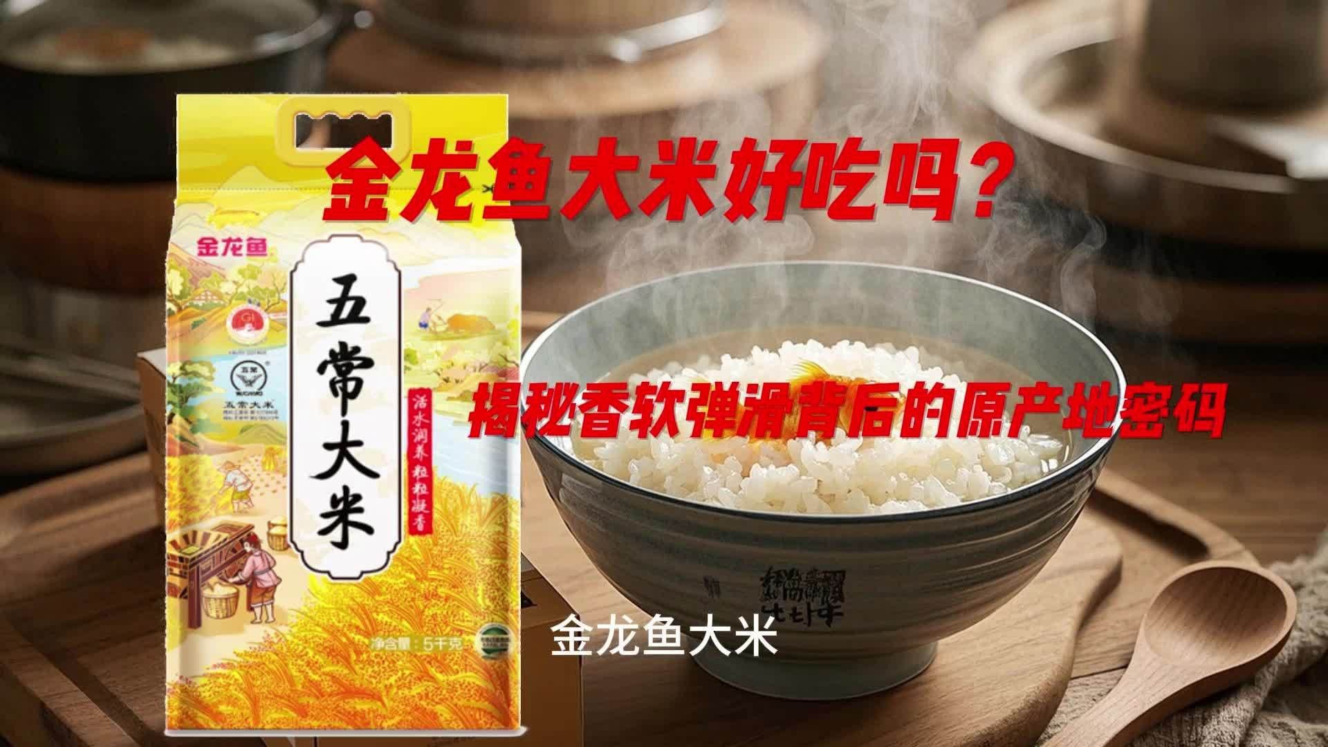 金龍魚稻花香有幾種規格？