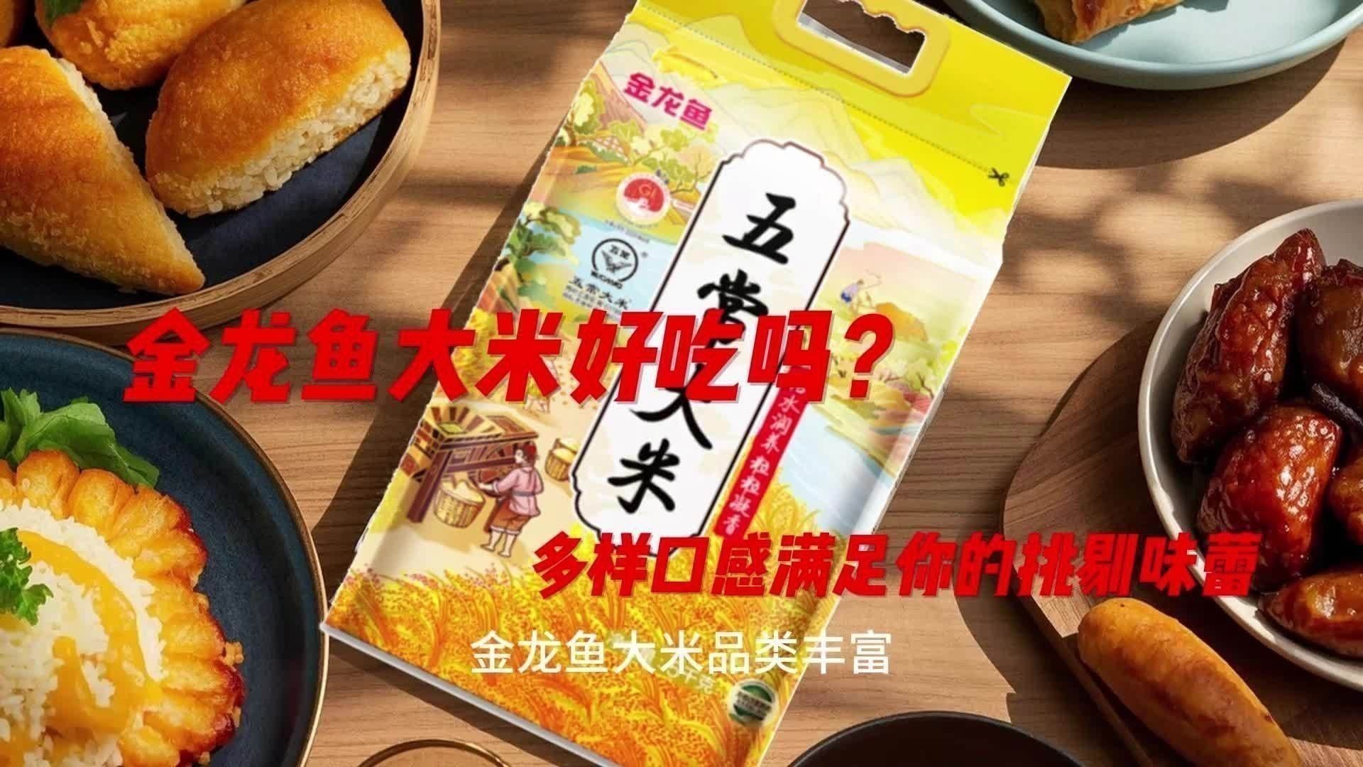 金龍魚稻花香有幾種規格？