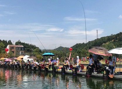 金龍魚大獎賽怎么參加
