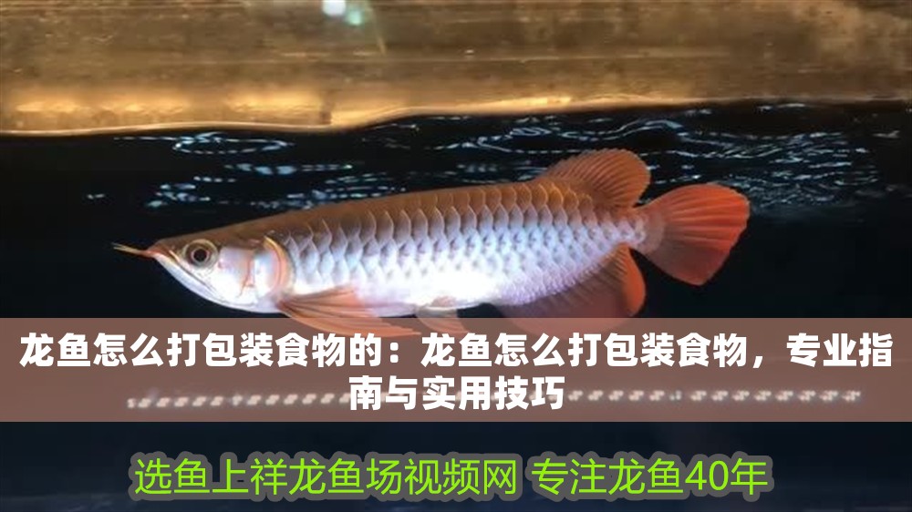 龍魚怎么打包裝食物的：龍魚怎么打包裝食物，專業指南與實用技巧