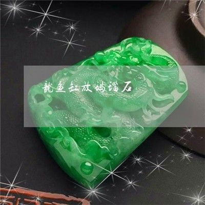 龍魚缸可以放石頭嗎：龍魚缸可以放石頭嗎龍魚缸可以放石頭嗎