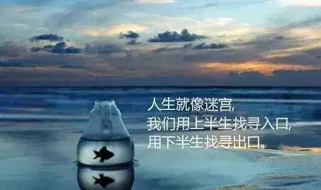 紅龍魚暴斃的原因（紅龍魚暴斃可能由多種因素引起，）
