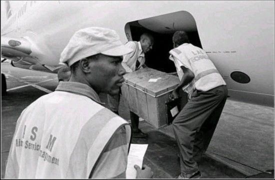 普通龍魚大概多少錢一條啊圖片：普通龍魚大概多少錢一條啊？全面解析龍魚價格及選購指南