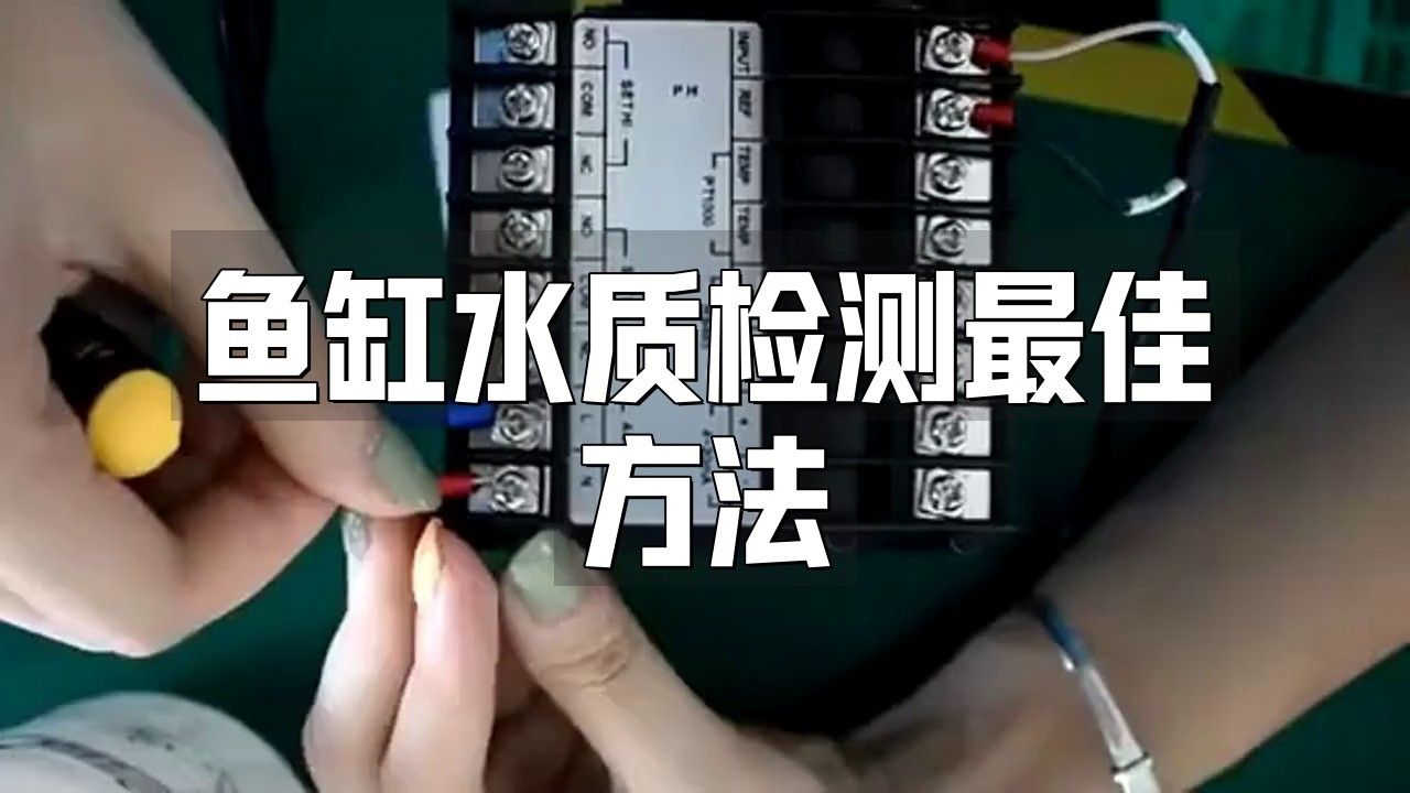 如何檢測金龍魚缸的水質？