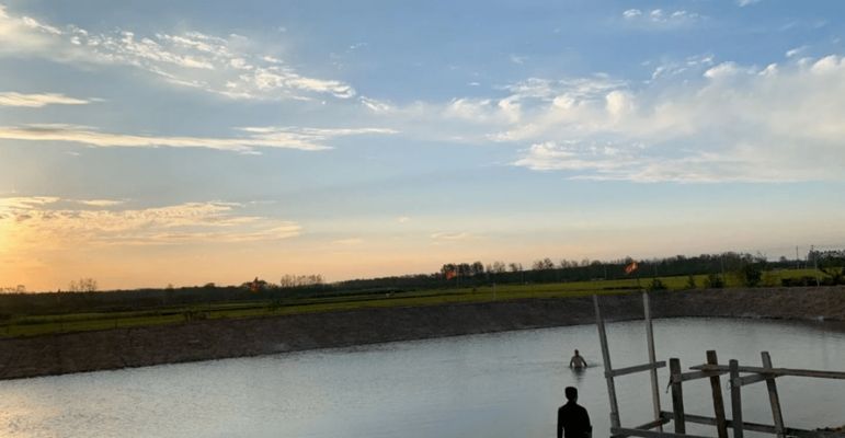 雙線側魚清塘消毒的最佳時機，雙線側魚消毒的最佳時機