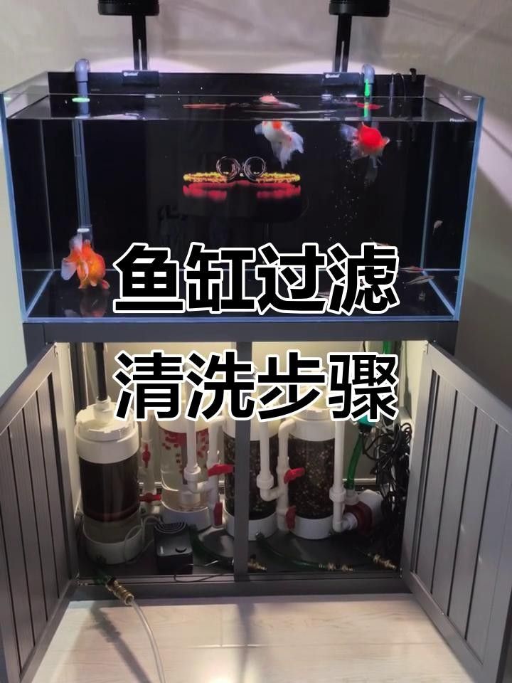 龍魚缸過濾系統(tǒng)多久清洗一次？