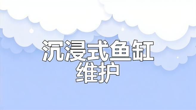 龍魚缸過濾系統多久清洗一次？