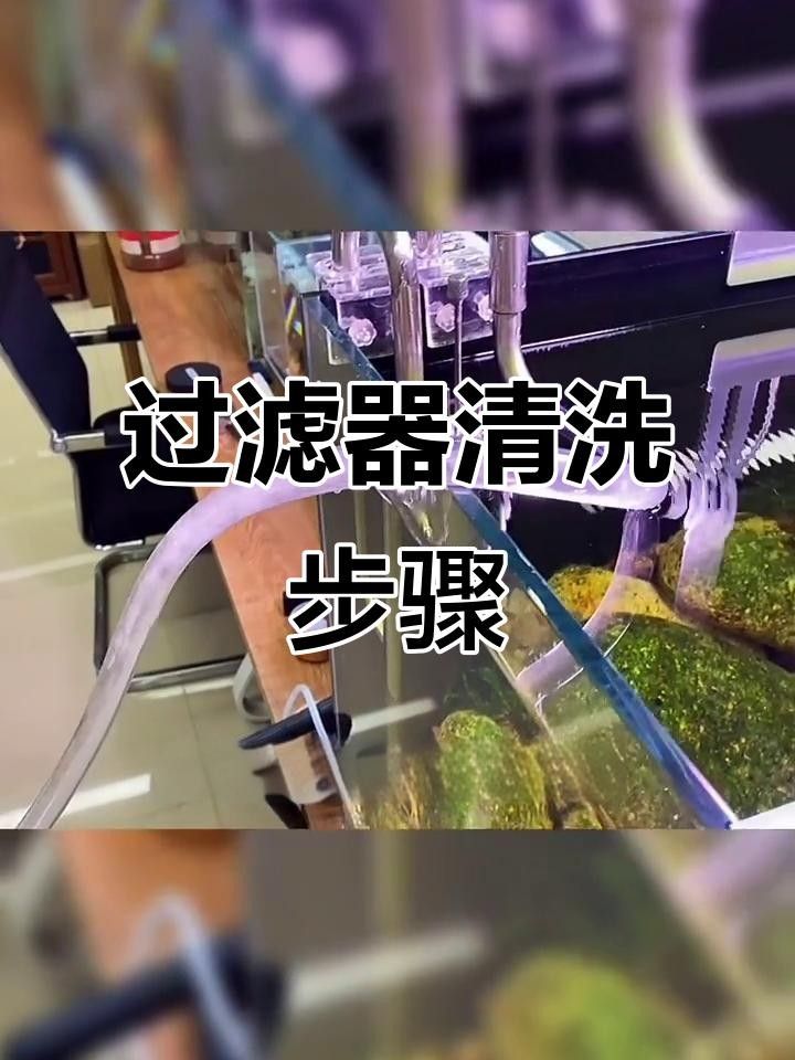 龍魚缸過濾系統(tǒng)多久清洗一次？