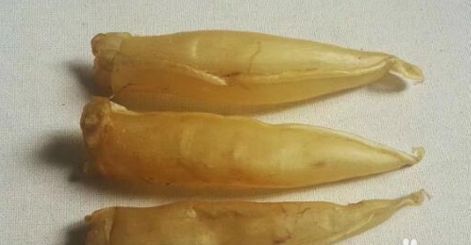 龍魚一會趴缸一會游來游去正常嗎怎么回事：如何判斷龍魚是否健康