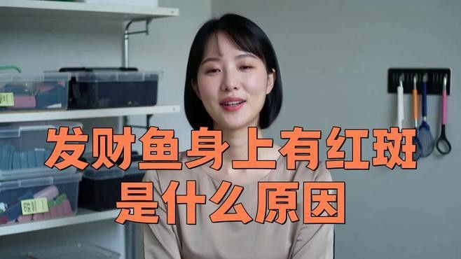 招財(cái)龍魚(yú)常見(jiàn)的疾病有哪些？