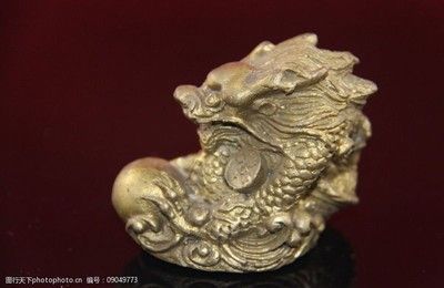 黑底黑背景養什么龍魚：黑底黑背景的魚缸適合飼養35cm以上的金龍或紅龍魚