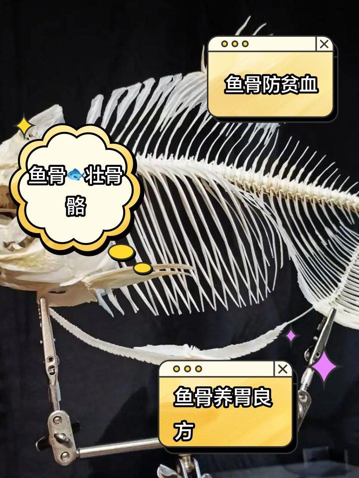 碧波龍魚骨頭是干什么的