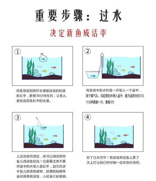 銀龍魚魚苗吃什么長的快一點