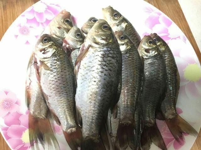 龍魚淡水魚還是咸水魚好吃一點：龍魚是淡水魚還是咸水魚