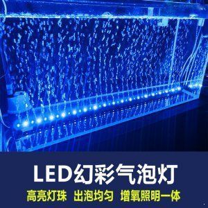 龍魚燈品牌推薦（龍魚燈品牌哪個牌子好）