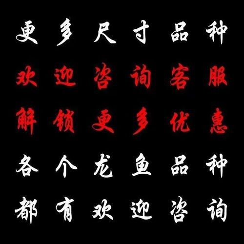 長春龍魚價格行情走勢圖片