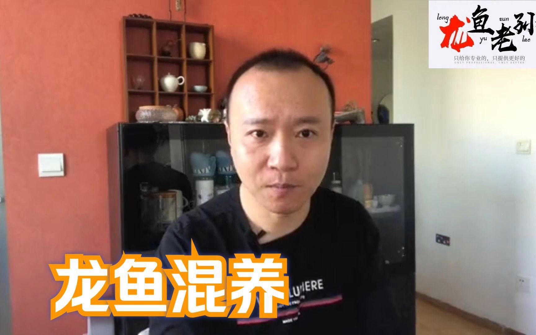 澳洲星點龍魚適合混養嗎？