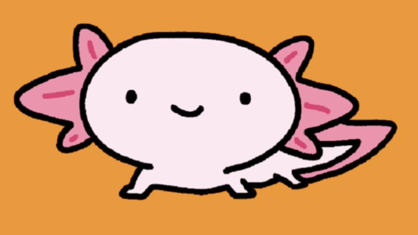 六角龍魚和蠑螈哪個更互動？