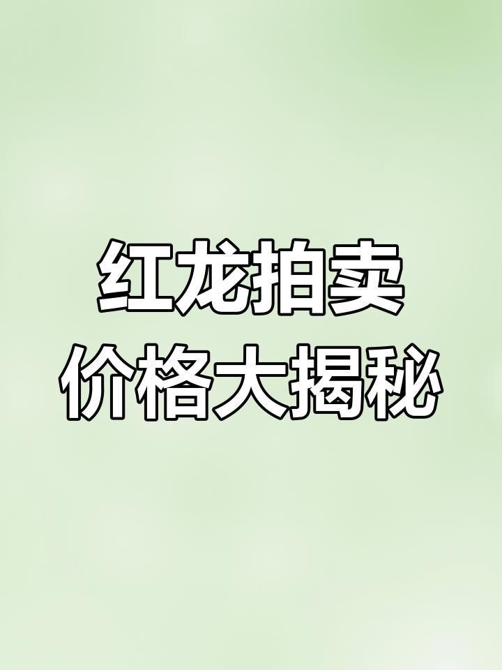 賽級印尼紅龍價格