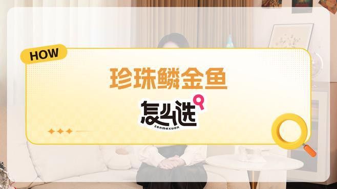 如何判斷金頭過(guò)背金龍的品相？