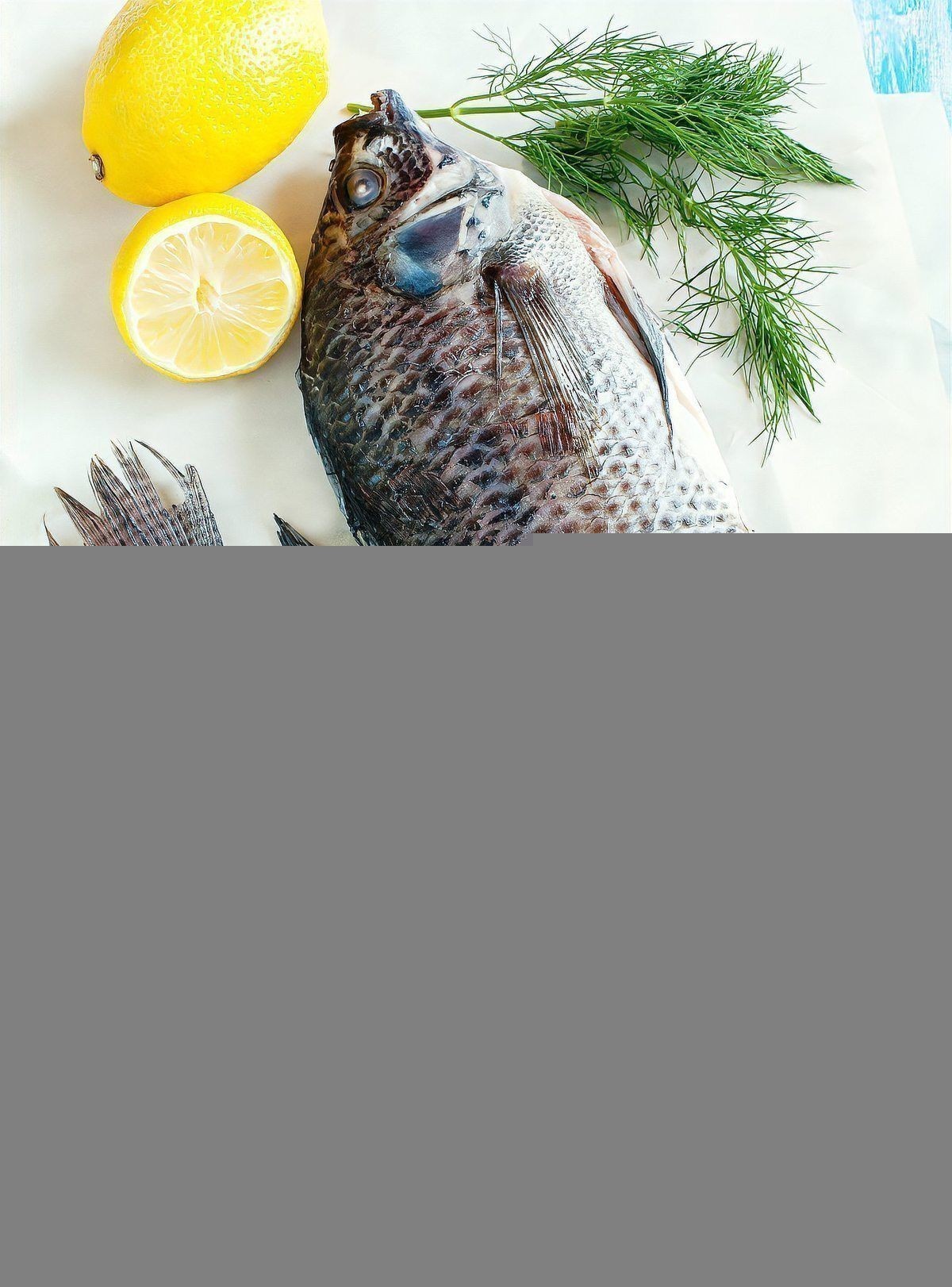 羅非魚養(yǎng)殖需要哪些設備？