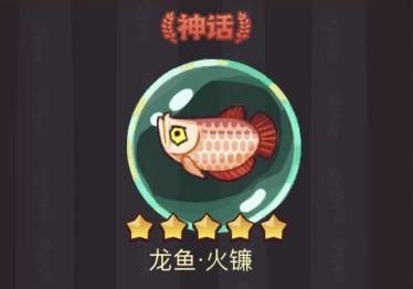 龍魚微信群群：關于龍魚微信群的一些信息和建議
