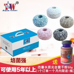 紅龍魚過濾材料怎么選（養(yǎng)龍魚用什么濾材比較好）