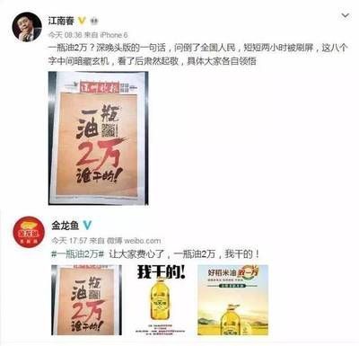 金龍魚系列產(chǎn)品介紹文案怎么寫的（金龍魚品牌形象建設(shè)案例）