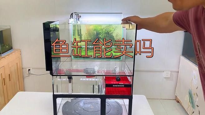 閑置魚缸轉讓時需要注意什么？