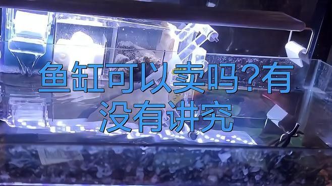 閑置魚缸轉讓時需要注意什么？
