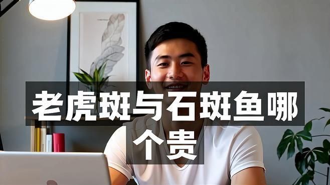 老虎斑貴還是石斑魚貴 老虎斑貴還是石斑魚貴 龍魚百科 第1張