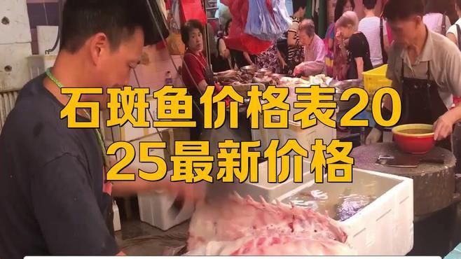 老虎斑貴還是石斑魚貴 老虎斑貴還是石斑魚貴 龍魚百科 第4張