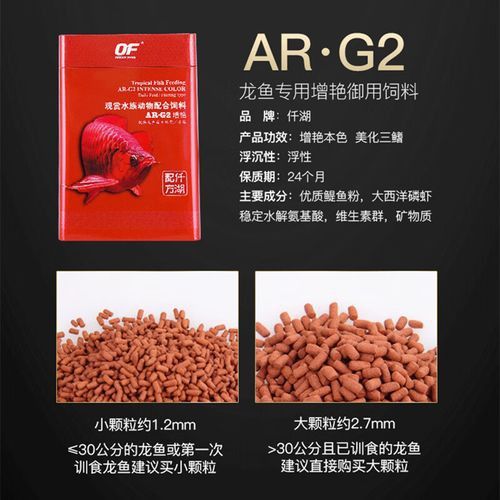 蘭州龍魚哪家好養(yǎng)殖的