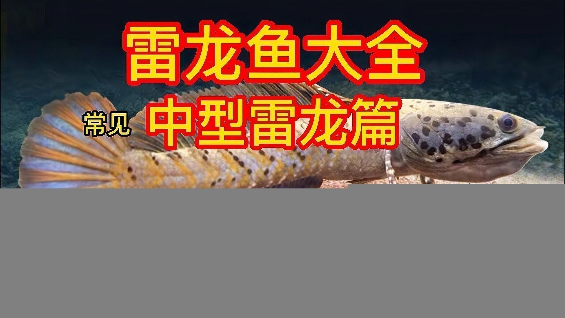 如何烹飪雷龍魚(yú)以保留其營(yíng)養(yǎng)？