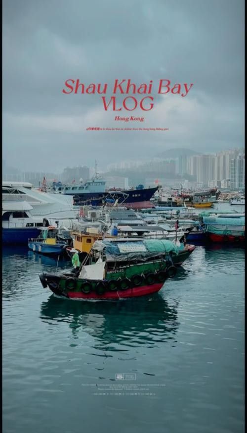 香港龍魚門躍