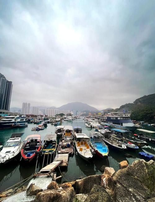 香港龍魚門躍