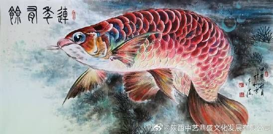 金龍魚代表什么象征意義